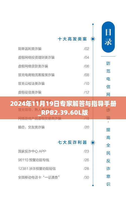 2024年11月19日专家解答与指导手册_RPB2.39.60L版