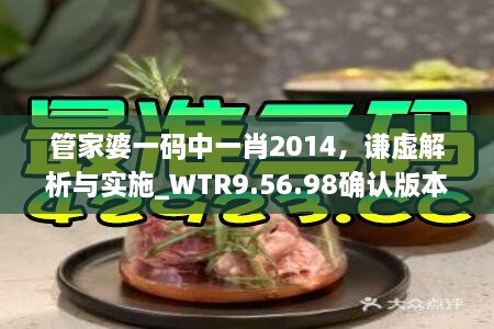 管家婆一码中一肖2014，谦虚解析与实施_WTR9.56.98确认版本