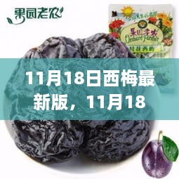 11月18日西梅最新版深度解析，优势与挑战一览