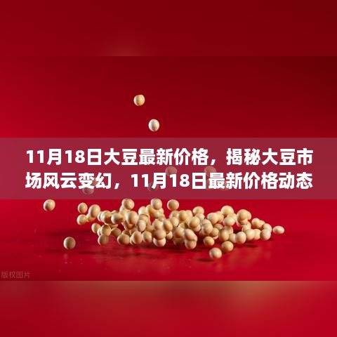 揭秘大豆市场风云变幻，最新价格动态及市场分析（11月18日更新）