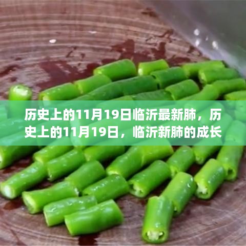 临沂新肺的成长与变迁，励志逆袭故事，历史上的11月19日回顾与展望