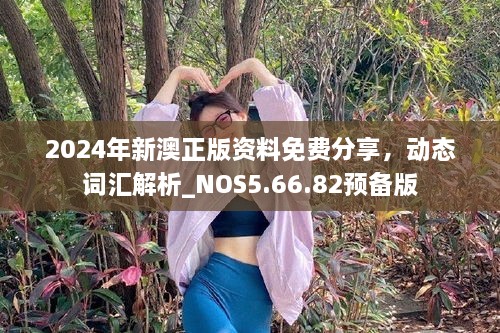 2024年新澳正版资料免费分享，动态词汇解析_NOS5.66.82预备版