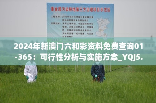 2024年新澳门六和彩资料免费查询01-365：可行性分析与实施方案_YQJ5.13.97护眼版