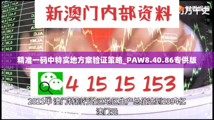 精准一码中特实地方案验证策略_PAW8.40.86专供版