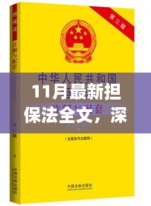 深度解读，最新担保法变革与权益保障解析