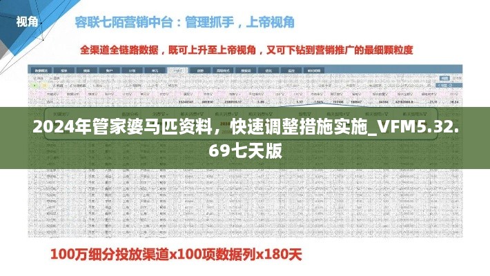 2024年管家婆马匹资料，快速调整措施实施_VFM5.32.69七天版