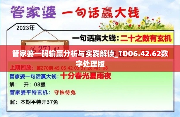 管家婆一码输赢分析与实践解读_TDO6.42.62数字处理版