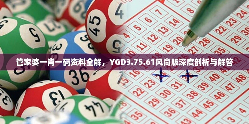 管家婆一肖一码资料全解，YGD3.75.61风尚版深度剖析与解答