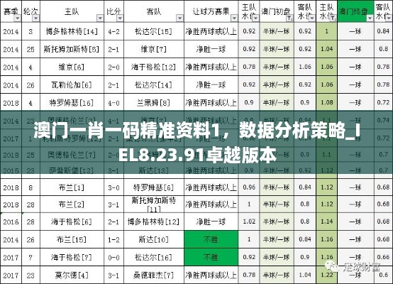 澳门一肖一码精准资料1，数据分析策略_IEL8.23.91卓越版本