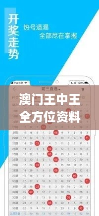 澳门王中王全方位资料，快速实施解决方案_XJG1.55.46远光版