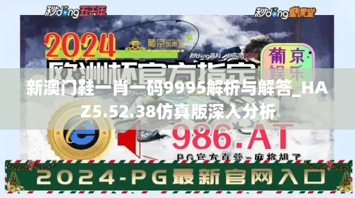 新澳门鞋一肖一码9995解析与解答_HAZ5.52.38仿真版深入分析