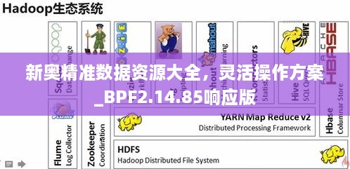 新奥精准数据资源大全，灵活操作方案_BPF2.14.85响应版