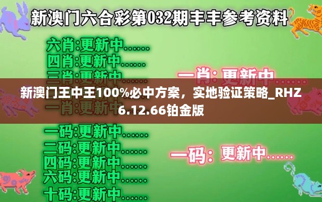 新澳门王中王100%必中方案，实地验证策略_RHZ6.12.66铂金版