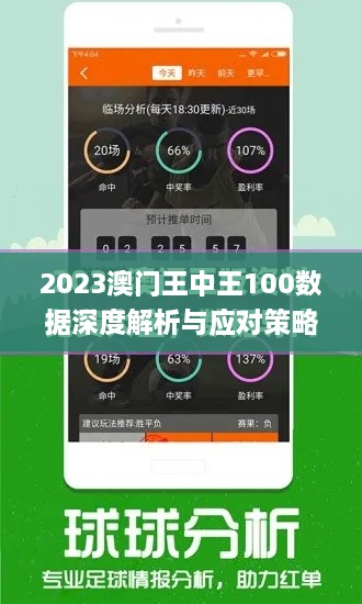 2023澳门王中王100数据深度解析与应对策略_GGR8.22.66精装版