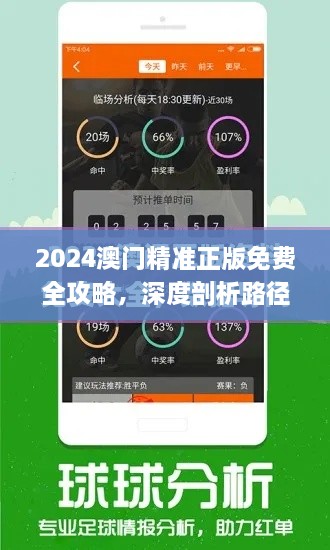 2024澳门精准正版免费全攻略，深度剖析路径与解答_GXT9.59.81未来版