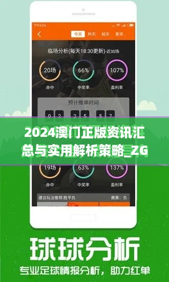 2024澳门正版资讯汇总与实用解析策略_ZGJ1.60.30版本