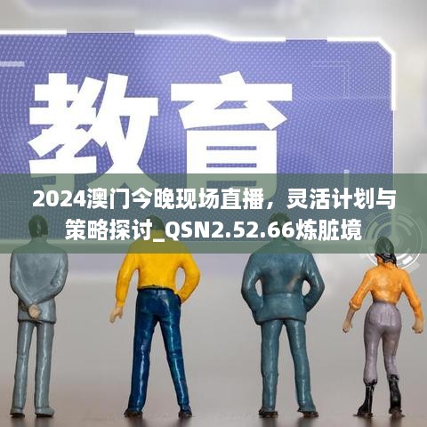 2024澳门今晚现场直播，灵活计划与策略探讨_QSN2.52.66炼脏境