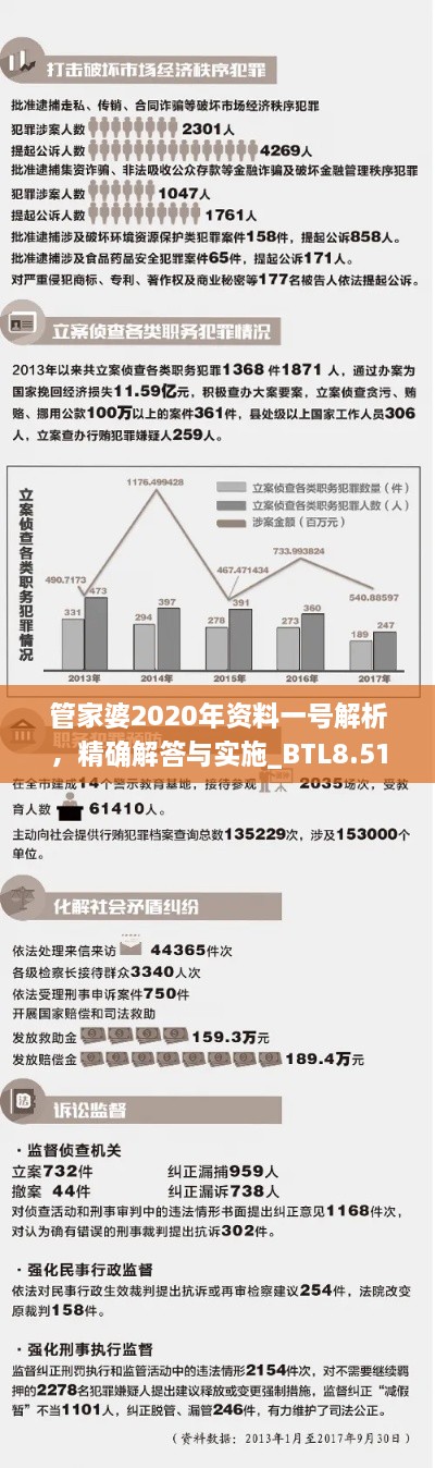 管家婆2020年资料一号解析，精确解答与实施_BTL8.51.37学术版