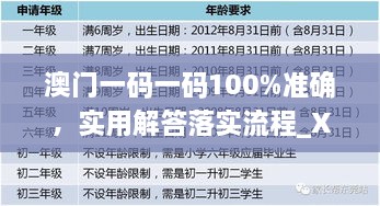 澳门一码一码100%准确，实用解答落实流程_XWT5.63.92触感版