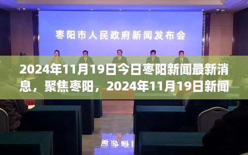 聚焦枣阳，2024年11月19日最新新闻速递