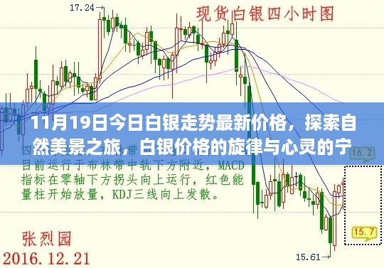 白银最新走势与探索自然美景之旅，白银价格的旋律与心灵宁静的交响曲（11月19日更新）