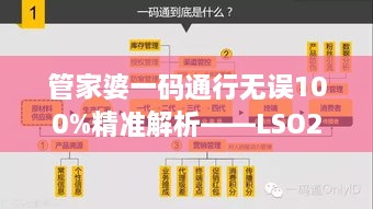 管家婆一码通行无误100%精准解析——LSO2.68.74旅行者特别版