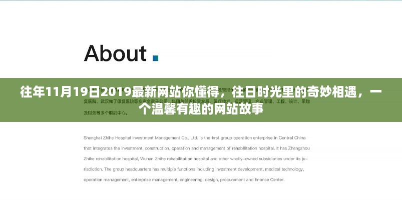 往日时光中的奇妙相遇，温馨有趣的网站故事回顾 —— 2019年11月1 9日最新网站探索