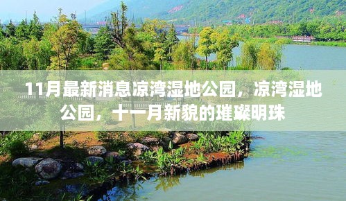 11月新貌璀璨明珠，凉湾湿地公园最新动态