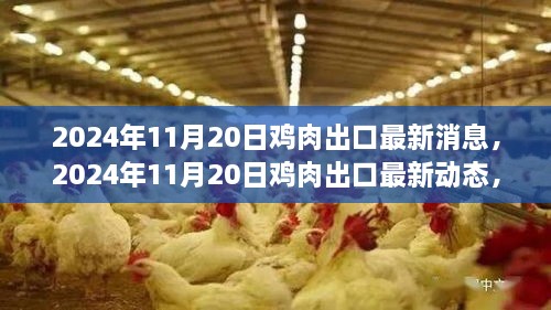 全球鸡肉出口最新动态，市场需求与产业趋势分析