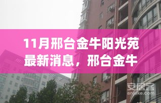 邢台金牛阳光苑十一月最新动态更新，最新消息一览