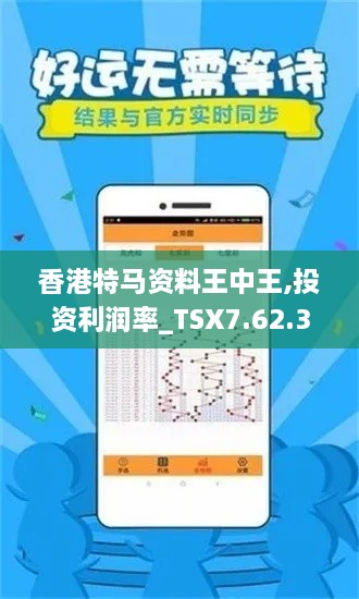 香港特马资料王中王,投资利润率_TSX7.62.39百搭版