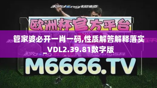 管家婆必开一肖一码,性质解答解释落实_VDL2.39.81数字版