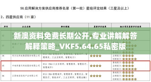 新澳资料免费长期公开,专业讲解解答解释策略_VKF5.64.65私密版