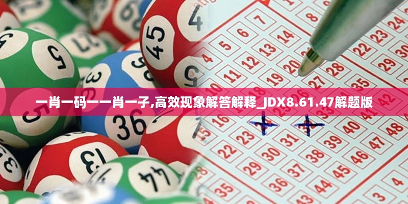 一肖一码一一肖一子,高效现象解答解释_JDX8.61.47解题版