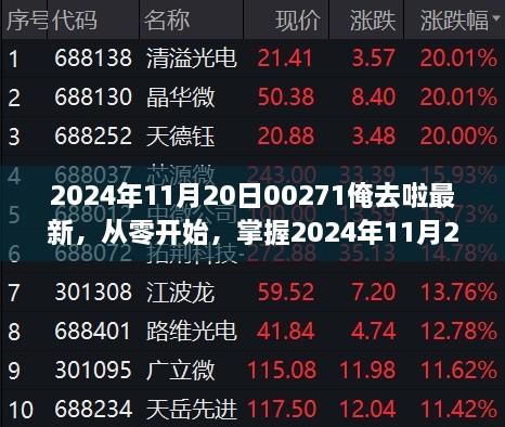 从零开始，掌握最新任务全攻略，迎接2024年11月20日00271俺去啦挑战