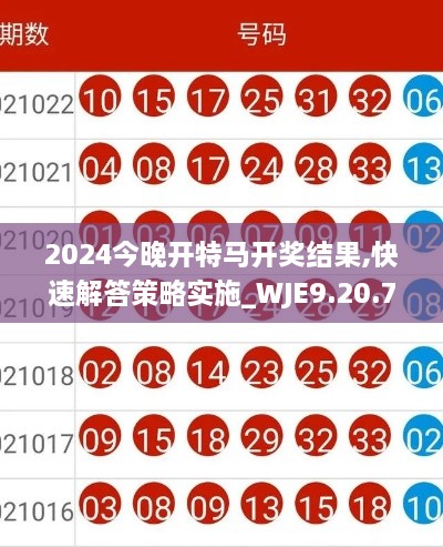 2024今晚开特马开奖结果,快速解答策略实施_WJE9.20.76蓝球版