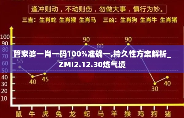 管家婆一肖一码100%准确一,持久性方案解析_ZMI2.12.30炼气境