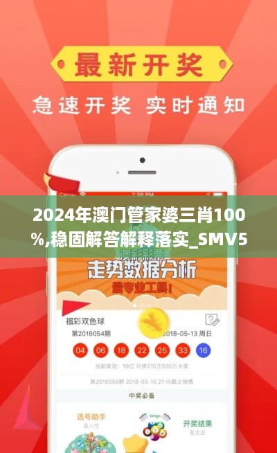 2024年澳门管家婆三肖100%,稳固解答解释落实_SMV5.60.64清晰版