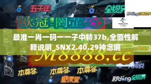 最准一肖一码一一子中特37b,全面性解释说明_SNX2.40.29神念境