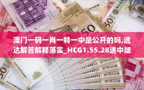 澳门一码一肖一特一中是公开的吗,透达解答解释落实_HCG1.55.28适中版