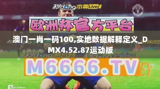 澳门一肖一码100,实地数据解释定义_DMX4.52.87运动版