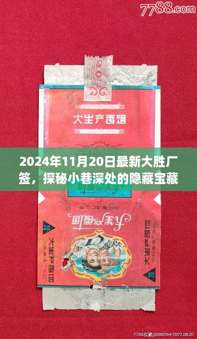 探秘大胜厂签，小巷深处的隐藏宝藏与特色小店故事（2024年11月20日最新）