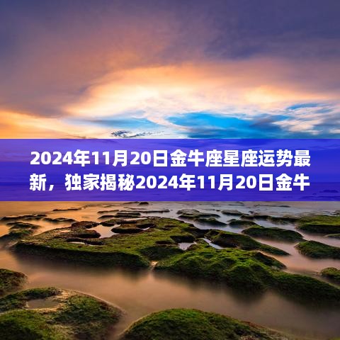 金牛座星座运势揭秘，小巷特色小店等你来探秘，独家解读2024年11月20日金牛座运势