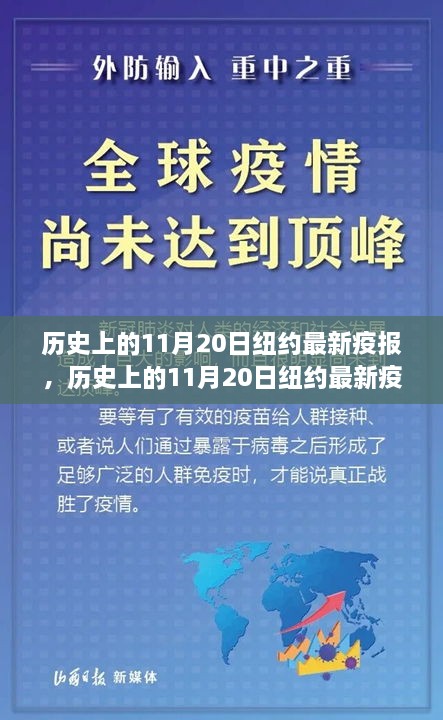 纽约历史上的11月20日最新疫情报告，疫情发展与防控进展概述