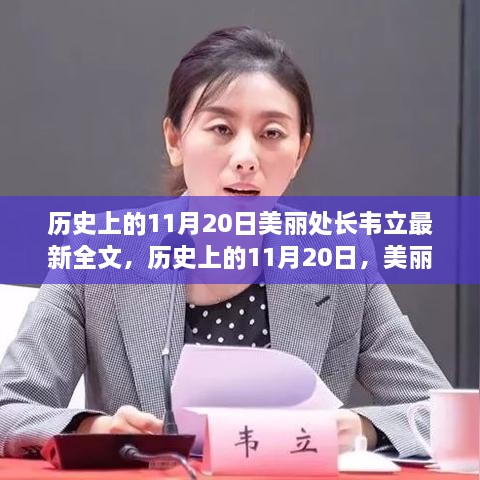 韦立事件深度解析与个人观点阐述，历史上的美丽处长韦立事件回顾与反思