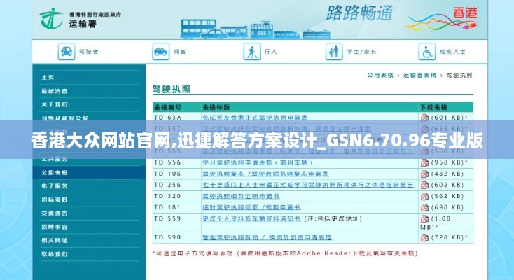 香港大众网站官网,迅捷解答方案设计_GSN6.70.96专业版