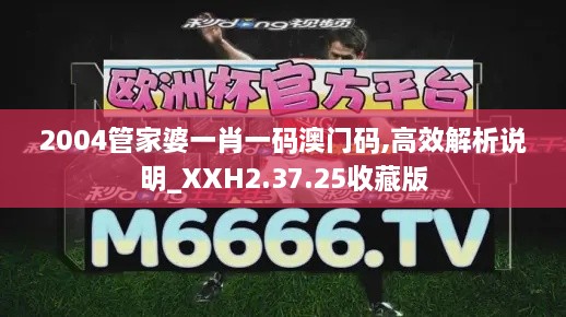 2004管家婆一肖一码澳门码,高效解析说明_XXH2.37.25收藏版