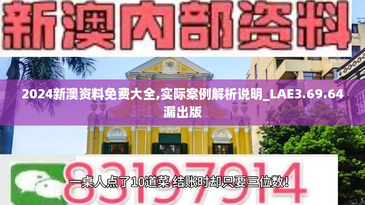 2024新澳资料免费大全,实际案例解析说明_LAE3.69.64漏出版