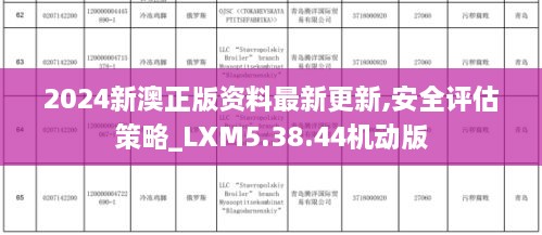 2024新澳正版资料最新更新,安全评估策略_LXM5.38.44机动版