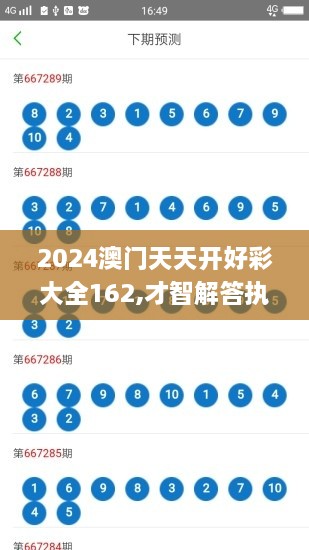 2024澳门天天开好彩大全162,才智解答执行落实_RMS8.36.48文化版